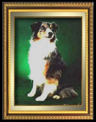 Photo at 10 years of age by Vavra Photography