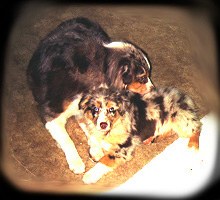 Juli with her daughter Jujubee from her 2nd litter.