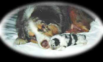 Juli &&nbsp;Rebecca ~&nbsp;1 wk old