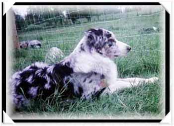 Rebecca about 18 mos old