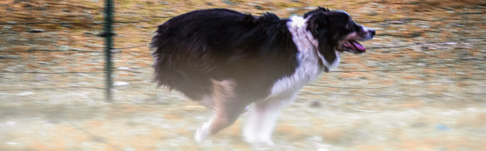 Winslows Tri To Be Humble