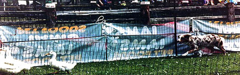 Winslows Christmas In July CD STDd CGC