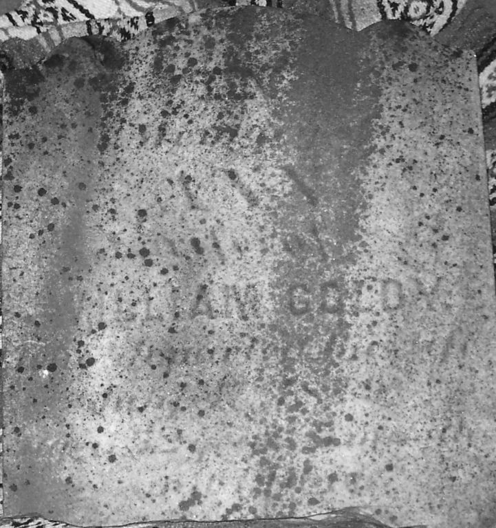 AnnGoldy.jpg (132616 bytes)