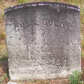 CharlesGoldy.jpg (100467 bytes)