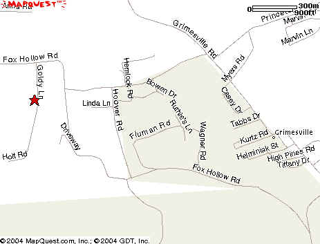 GoldyLanePA2.bmp (491430 bytes)