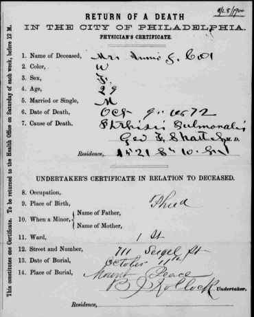Annie_S_Cox_deathcertif_1872cropresize.jpg (43209 bytes)