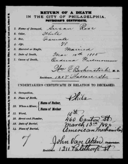 Susan Rose-resize50res.jpg (43714 bytes)