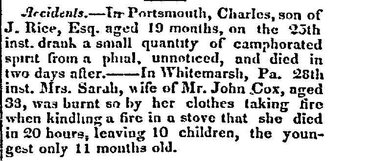 wpe2.jpg (54842 bytes)