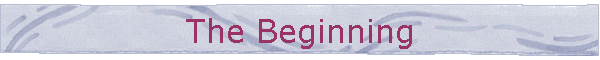 The Beginning