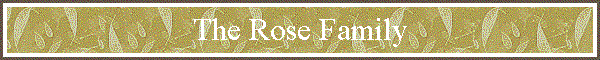 The Rose Family