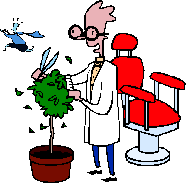 barber trimming bush