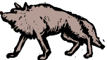 wolf