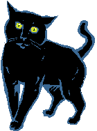 black cat