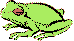 frog