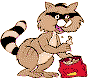 raccoon