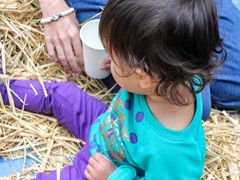 2015_SeaPic (130 of 267)