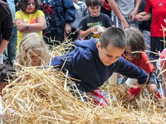 2015_SeaPic (140 of 267)