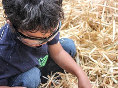 2015_SeaPic (154 of 267)