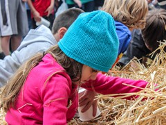 2015_SeaPic (167 of 267)