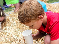 2015_SeaPic (171 of 267)