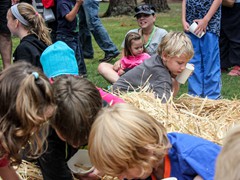 2015_SeaPic (173 of 267)