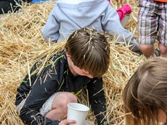 2015_SeaPic (181 of 267)