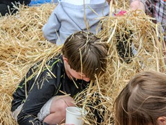 2015_SeaPic (182 of 267)