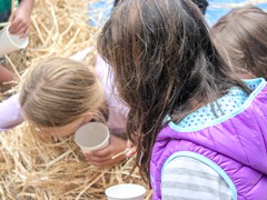 2015_SeaPic (186 of 267)