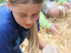 2015_SeaPic (204 of 267)