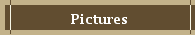Pictures