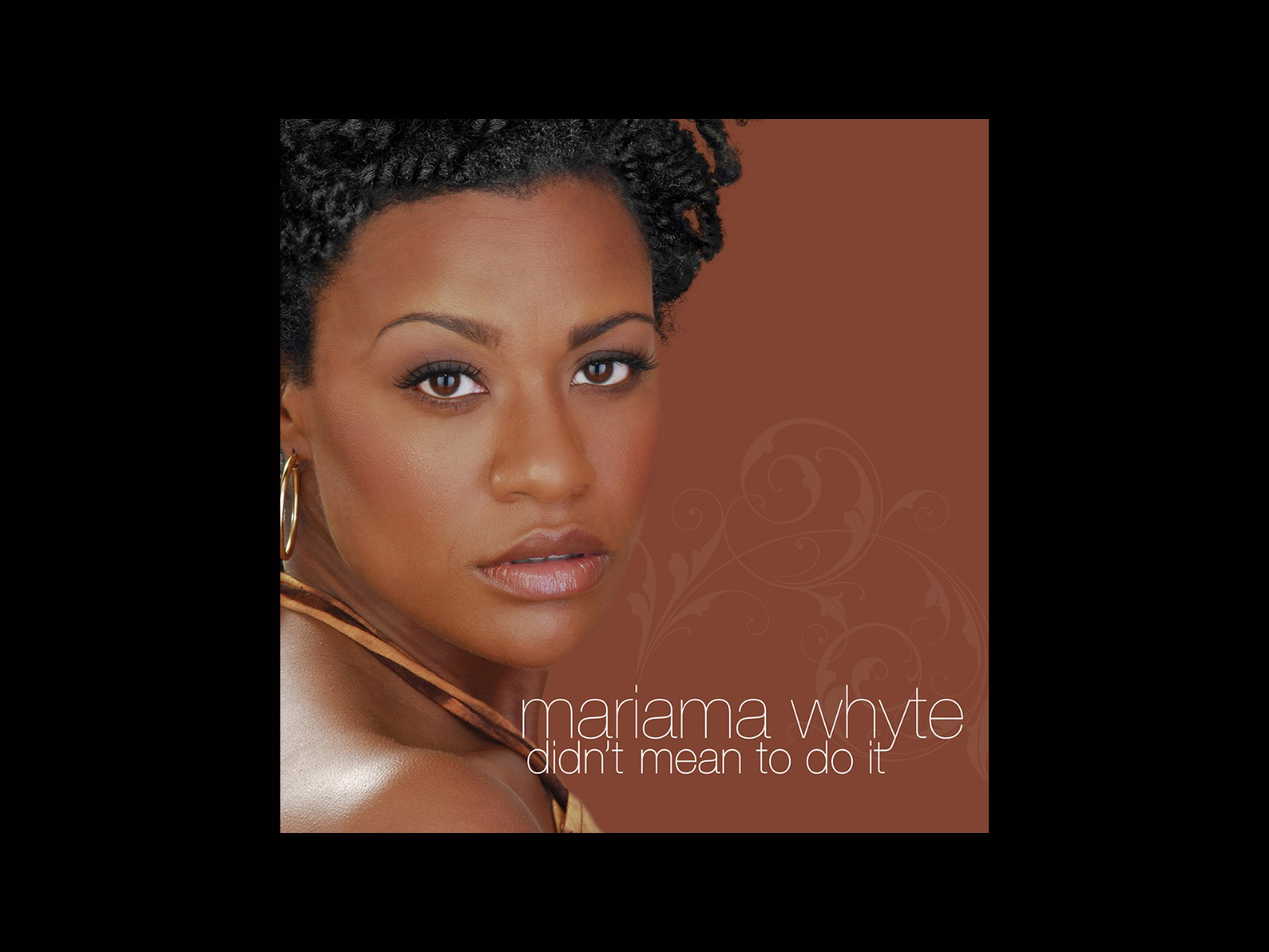 Didn't Mean to Do It by Mariama Whyte