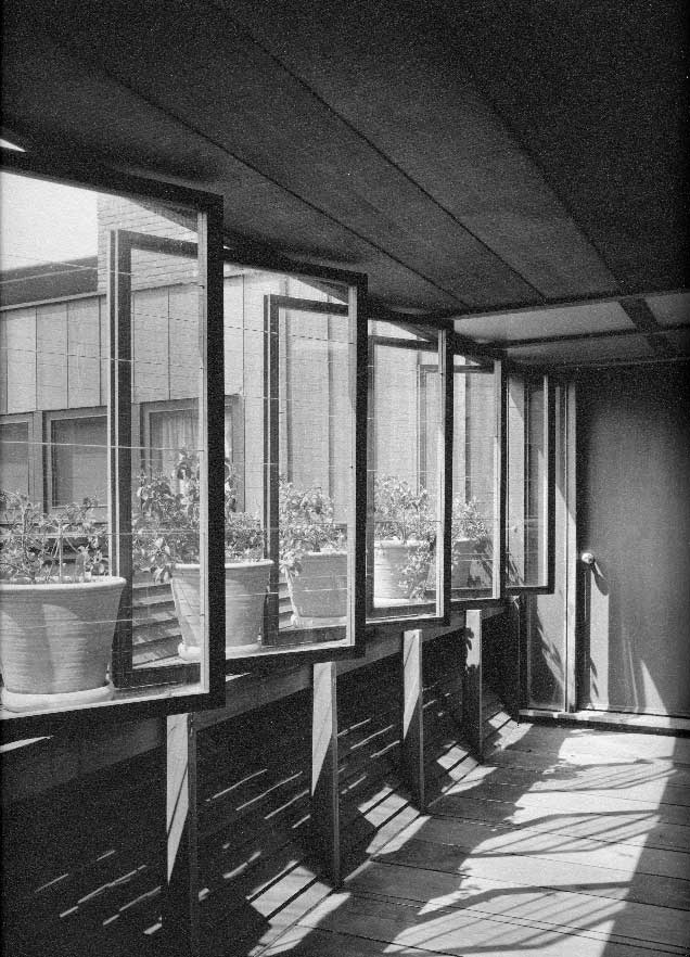 Maynard Parker windows