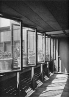 Maynard Parker windows