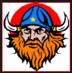 Viking Head Logo