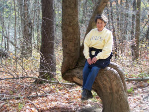 Yes, this is Nancy in a tree. So? What more can you say?
