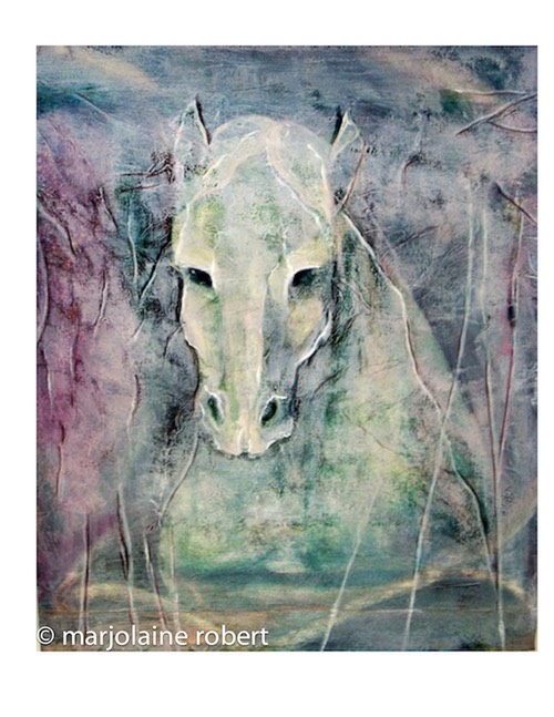 tête de cheval dans la nuit