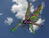 1Dragonfly 2d 2.jpg (68519 bytes)