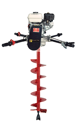 D5.gif (17834 bytes)