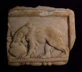 6915.JPG (61330 bytes)