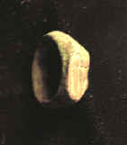 7774.JPG (48813 bytes)