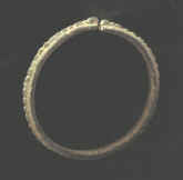 8789.JPG (35190 bytes)