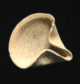 9297.JPG (51843 bytes)