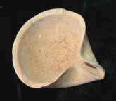 9548.JPG (31094 bytes)