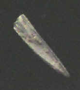 9795.JPG (7235 bytes)