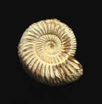 9924.JPG (80700 bytes)