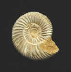 9926.JPG (58836 bytes)