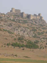 Snake.JPG (117644 bytes)