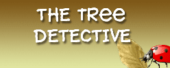 The Tree Detective